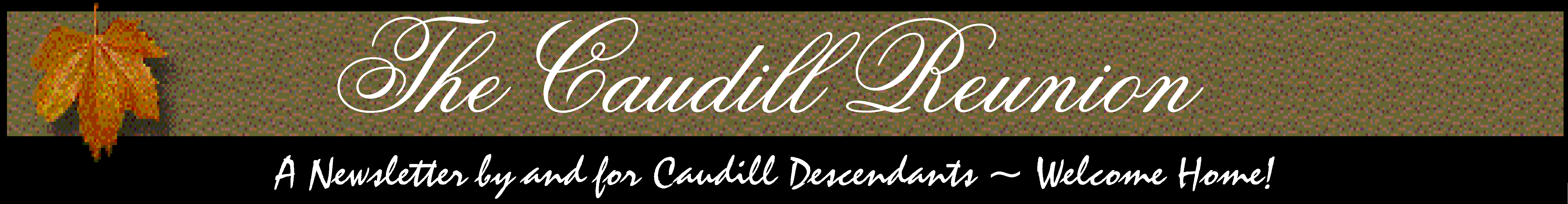 Banner Graphic